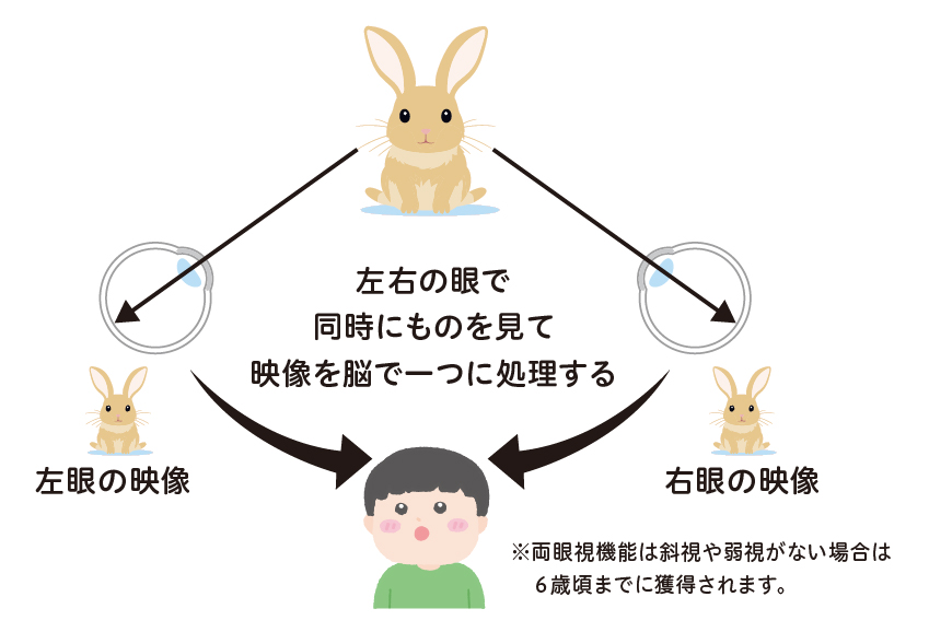 両眼視機能