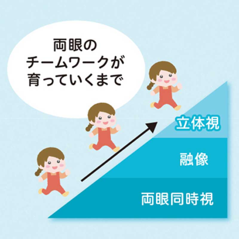 両眼視機能の発達